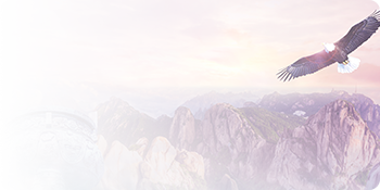 490491.cm查询码资料大全