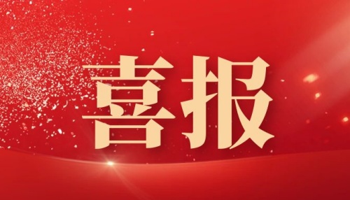 490491.cm查询码资料大全